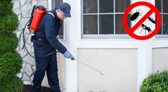 Alaca Akrep İlaçlama böcek ilaçlama ve haşere kontrolü — ilaclama-tr.com
